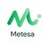 Metesa France logo
