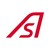 Automatic Systems logo