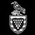Cornwall Council logo