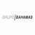 Grupo Bahamas S/A logo