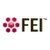 FEI Visualization Sciences Group logo