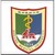 Nanjing Medical University logo