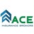 Ace Insurance Brokers Pvt. Ltd. logo