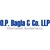Logo d'O.P. BAGLA & Co. LLP