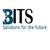 Biswas Information Technology Solutions, Inc. logo