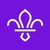The Scouts logo