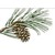 Logo de Timber Ridge School