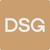 DSG Global logo