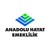 ANADOLU HAYAT EMEKLİLİK logo