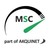 Maximum Solution Consulting Group logo