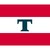 TORM logo