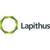 Lapithus Management logo