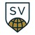 Sports Venture, Inc. logo
