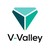 V-Valley Africa (ex-GTI Software & Networking) logo