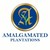 Amalgamated Plantations Pvt Ltd logo
