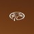 Palm Beach Tan logo