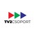 TV2 Média Csoport Zrt. logo