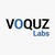 VOQUZ Labs logo