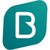Bosveld Incasso en Gerechtsdeurwaarders logo