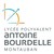 Lycée Antoine Bourdelle logo