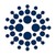 BroadReach logo