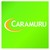 Caramuru Alimentos S.A. logo
