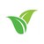 Gracepoint Wellness logo