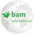 BAM International bv - this LinkedIn page is closed logo