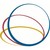 State University of New York College of Optometry logo