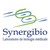 Laboratoire SYNERGIBIO logo