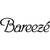 Sefam Pvt Limited (Bareeze) logo
