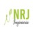 NRJ Ingénierie logo