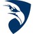 Paragon Systems Inc logo