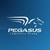 Pegasus Logistics Group logo