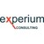 Experium Consulting logo