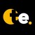 Trans Experts logo