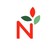 Nacarat logo