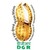 ICAR-Directorate of Groundnut Research, Junagadh logo