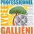 LYCEE PROFESSIONNEL GALLIENI Fréjus logo