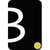 Brain & Company logo