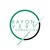 RAYON VERT CONSULTING logo