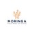 Moringa School logo