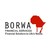 Borwa Financial Services logo