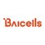Logo de Baicells Technologies