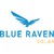 Blue Raven Solar logo