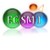 ECSM International logo
