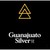 Guanajuato Silver Company Ltd logo