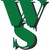 WELL SERVICES FRANCE logo