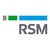 RSM INDONESIA logo