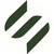 Shakarganj Limited logo